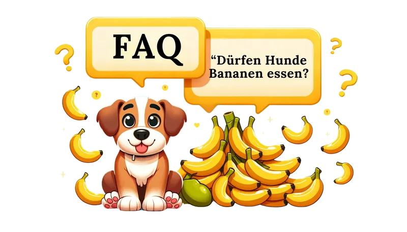 "Ein cartoonartiger Hund neben einem Haufen Bananen mit Sprechblasen, symbolisiert häufig gestellte Fragen über Hunde und Bananen."